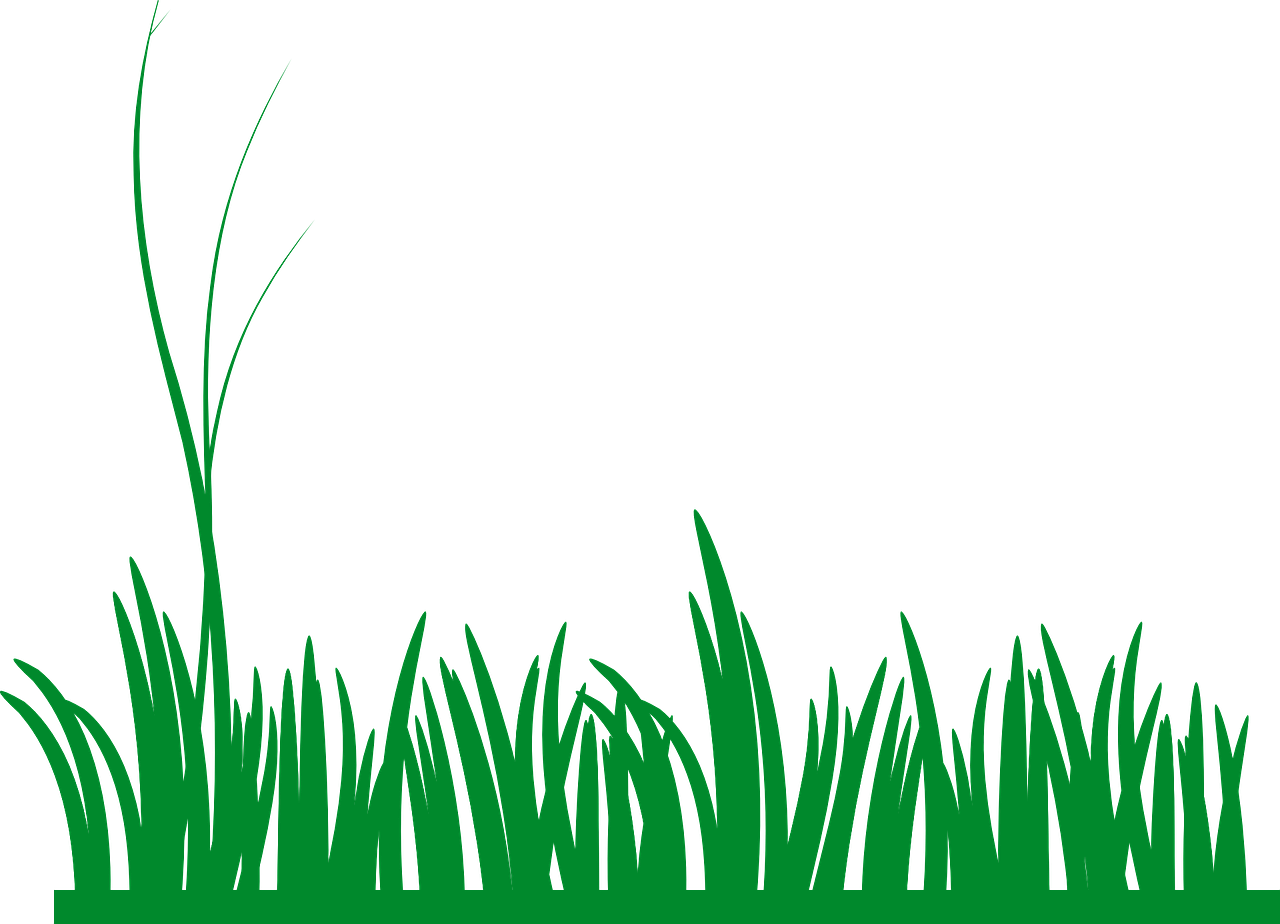 grass, lawn, green-303714.jpg