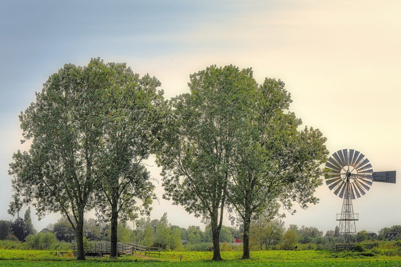 trees, wind mill, pasture-7937129.jpg